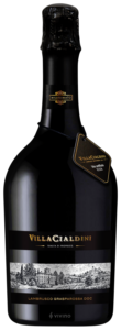 Chiarli Lambrusco Grasparossa di Castelvetro Vigneto Cialdini n/a