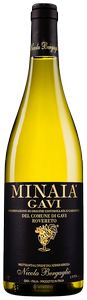 Nicola Bergaglio, Gavi, Minaia