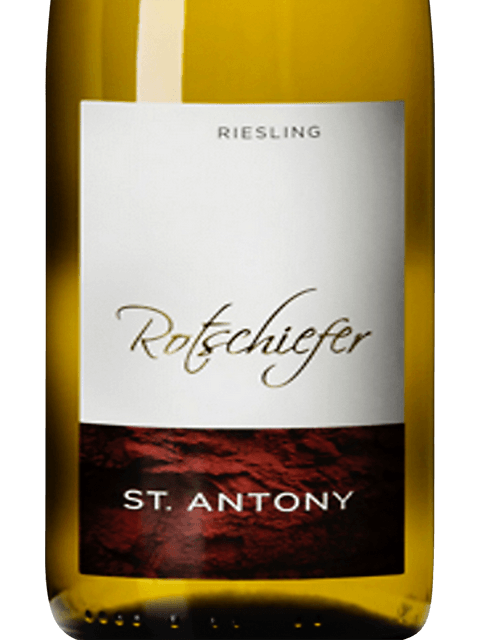 St Antony, Rose, Rheinhessen