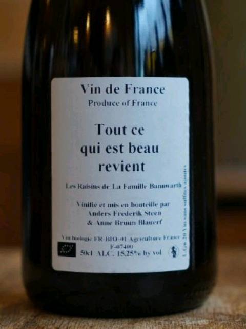 Anders Frederik Steen, Je suis comme ca et alors?, VdF