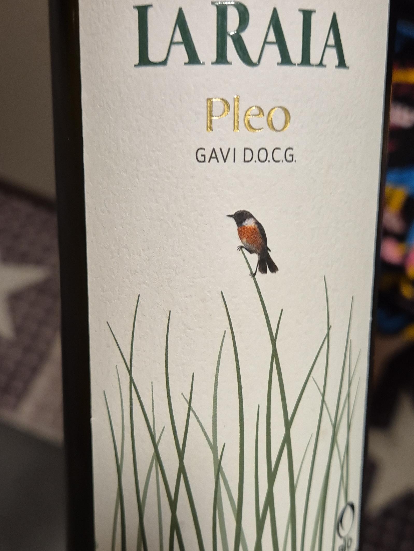La Raia, Gavi, Pise