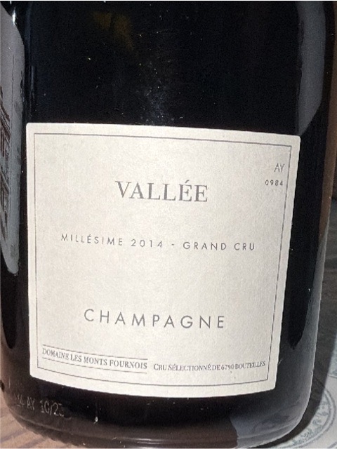Domaine Les Monts Fournois, Vallee De Luxe Grand Cru, Ay