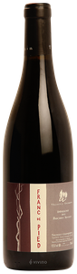 Thierry Germain (Roches Neuves), Saumur-Champigny, Franc Pied
