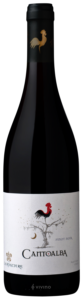La Ronciere, Solares, Colchagua Valley