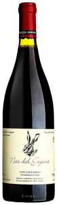 Esconda Sanahuja, Conca de Barbera, Nas Gegant
