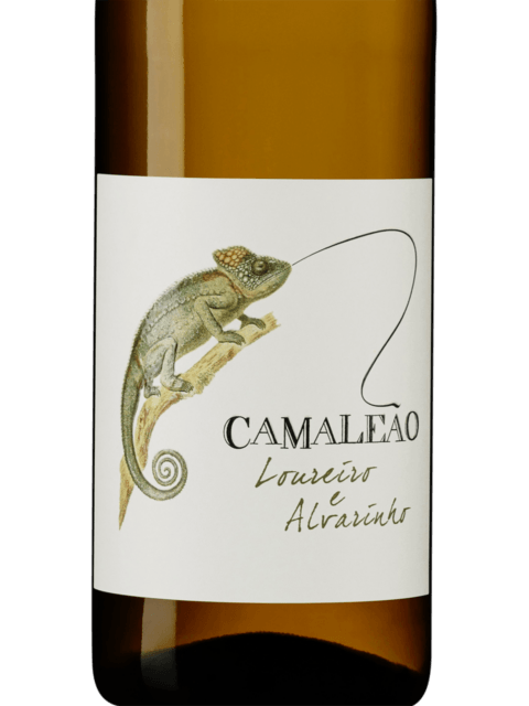 J. Cabral Almeida, Musgo Alfrocheiro, Dao