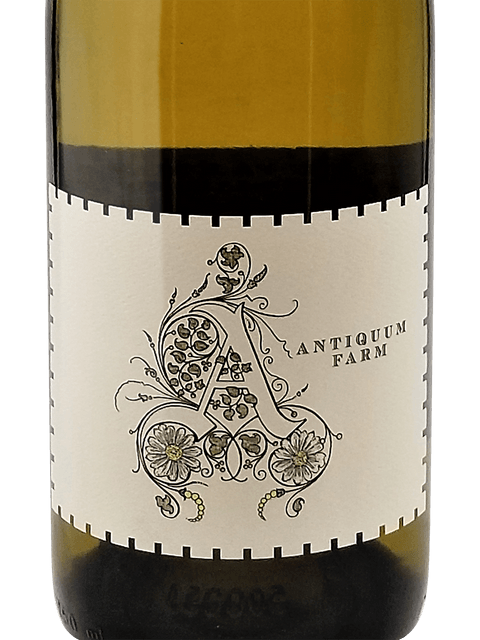 Antiquum, Daisy Pinot Gris, Willamette Valley