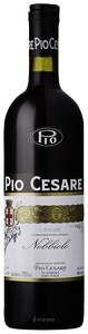 Pio Cesare, Nebbiolo d'Alba