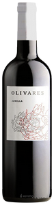 Olivares, Joven