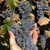 Pear Valley, Distraction, Paso Robles