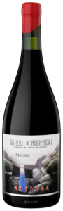 Altos Hormigas, Organico Malbec, Lujan de Cuyo