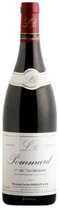 Camille & Guillaume Boillot, Pommard Premier Cru, Les Rugiens Hauts