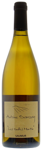 Antoine Sanzay, Saumur, Les salles Martins
