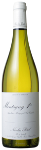 Nicolas Potel, Montagny