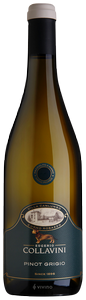 Collavini, Pinot Grigio, Collio