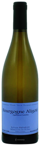 Domaine Sylvain Pataille, Bourgogne Aligote, Petits Puits