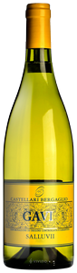 Castellari Bergaglio, Gavi, Salluvii