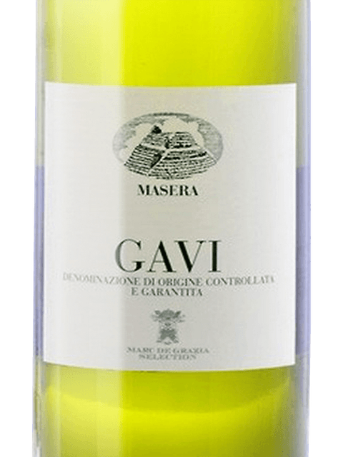 Stefano Massone Masera, Gavi