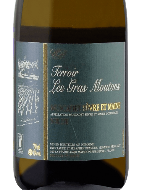 Domaine Haute Fevrie, Muscadet Sevre et Maine, Chateau Thebaud