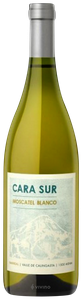 Cara Sur, Finca Maggio Moscatel Blanco, Calingasta