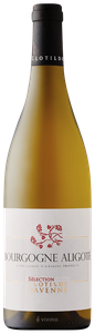 Domaine Jessiaume, Bourgogne Aligote